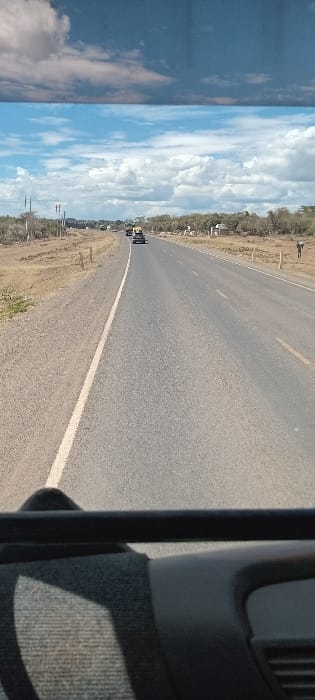 A long, straight asphalt road stretches into the distance under a bright, cloudy sky. Dry, grassy land borders each side of the road, sparsely dotted with small trees. In the distance, vehicles are visible on the road. Part of the vehicle interior, including a seat, a black pole, and a grey dashboard, occupies the right edge of the frame, suggesting the photo was taken from inside a vehicle.