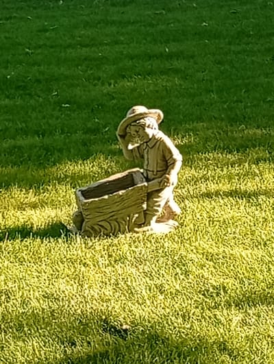 A garden gnome statue, made of a beige, rough material, stands in a patch of green grass. The gnome is wearing a hat and overalls, and it is leaning over a trough or planter that resembles a hollowed-out log. The trough is also made of the same beige, rough material. The grass is well-maintained and appears to be a lawn. The lighting suggests it is daytime, with shadows indicating the sun is at an angle. The scene is outdoors.