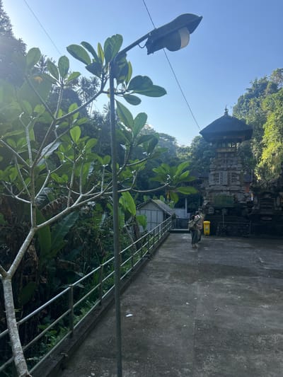 In the city of Bangli, Indonesia, a paved walkway leads towards a Balinese temple complex. A tall, dark-colored lamp post stands on the right side of the walkway, casting a shadow. Lush green foliage, including large leaves and thin branches, frames the left side of the image, with some trees in the background. The temple structure, with its multi-tiered thatched roof and intricate stone carvings, is the prominent subject in the background. Two individuals, one carrying a bag, are walking away from the camera towards the temple. A yellow trash bin is visible near the entrance to the temple. The sky is clear and blue, with sunlight filtering through the trees.
