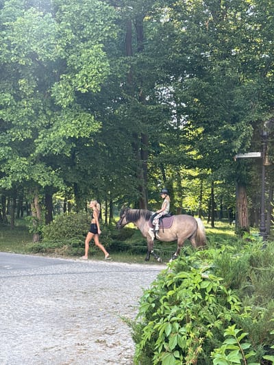 A young woman with blonde hair is riding a horse through a park-like setting. She is wearing a light-colored shirt and patterned leggings, with a dark helmet on her head. The horse is a light grey color with a dark mane and tail, and it is wearing a saddle pad and bridle. The woman appears to be in mid-stride, with the horse also in motion.
Beside the path, another young woman is standing, wearing a black bikini top and shorts. She is barefoot and appears to be looking towards the horse and rider.
The scene is set among lush green trees and foliage, suggesting a warm day. A paved path runs through the middle of the frame. In the background, there are more trees and hints of a building or structure, possibly a stable, indicated by a sign that reads "STAJNIA." This sign, meaning "stable" in Polish, confirms the location context of Krubki-Górki, Poland. The lighting suggests it is daytime, with sunlight filtering through the leaves. The overall mood is peaceful and idyllic.