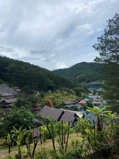 A wide-angle, slightly elevated outdoor shot captures a valley nestled between lush, pine-covered hills. In the foreground, several bare tree branches and green foliage are visible. A path leads down into the valley, where a scattering of buildings with dark, sloped roofs are situated amidst dense greenery. One prominent building features a pointed, thatched roof. Further into the valley, a greenhouse-like structure with a clear roof is visible on the left. In the distance, more buildings are clustered together, and a terraced section of a hillside, possibly agricultural or construction, is evident. The sky above is overcast with a mix of light and dark grey clouds. The scene is identified as being in the city of Định An, Vietnam.