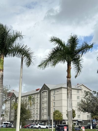 Two tall palm trees dominate the foreground against a cloudy sky. Behind them is a multi-story building with a gray exterior, multiple windows, and dark trim. Cars are parked in front of the building. The scene is captured with a slightly tilted perspective, emphasizing the height of the trees and the building.