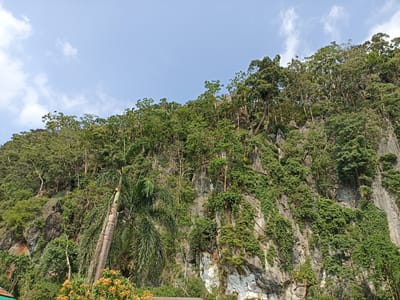 A rock face covered in vegetation in Ban Hin Sam Kon, Thailand is seen under a partly cloudy sky. The rock is primarily grey, with vertical lines and patches of green foliage covering much of the surface. Trees and bushes grow atop the formation and along its face. In the lower left, a large palm tree with a brown trunk and green fronds is visible. Below, shrubs with orange flowers peek into the scene. The sky is a pale blue, with a few scattered white clouds.