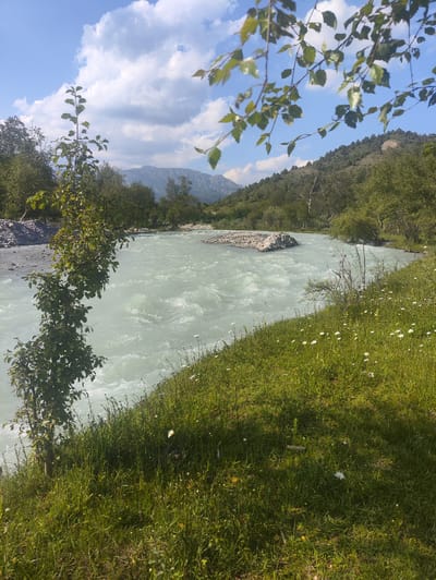 This media file depicts a scenic view of a turquoise river flowing through a valley on a bright, sunny day. The river, with its milky, glacial water, is the central subject, showing visible currents and ripples. On the right bank, a lush green meadow is dotted with small white wildflowers, indicating a temperate season, likely spring or summer. In the foreground, a young tree with green leaves stands to the left, partially obscuring the river. The background features rolling, tree-covered hills that lead to distant, majestic mountains under a sky with scattered white clouds. The scene evokes a sense of tranquility and natural beauty, suggesting an outdoor recreational or natural landscape setting. The time of day appears to be midday, given the bright sunlight and clear shadows. There are no people, objects, or visible text in the image. The location context of Kashka-Suu, Kyrgyzstan, aligns with the mountainous, riverine landscape.