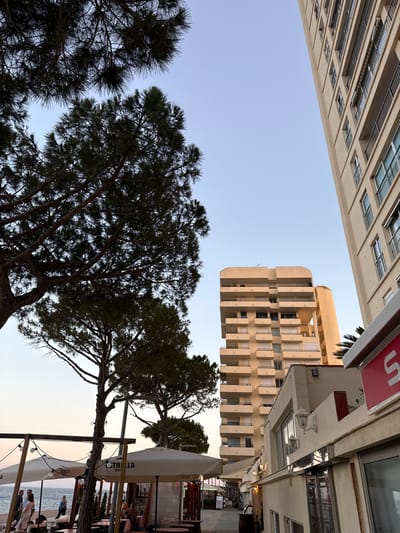 The image depicts a coastal scene in Platja D'aro, Spain, focusing on buildings and trees. In the foreground, a large pine tree with dark green needles dominates the left side, its branches reaching towards the sky. Behind it, a multi-story apartment building with a light-colored facade and numerous balconies stretches vertically. Further back and to the right, another, taller apartment building with a similar facade and balconies is visible, angled towards the right edge of the frame. In the middle ground, a section of a lower building with white walls and windows, along with outdoor seating and umbrellas, suggests a commercial area, possibly a cafe or restaurant. The sky is a clear, pale blue, indicating daytime. The overall impression is one of a seaside town with a blend of natural elements and modern architecture.