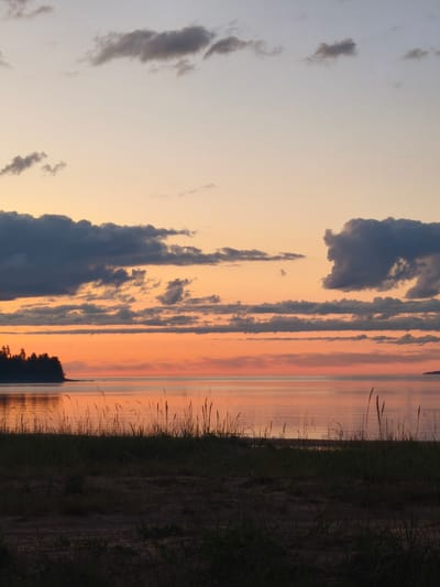The image depicts a serene sunset over a body of water. The sky is a gradient of soft oranges and pale yellows, with scattered dark clouds. The water reflects the colors of the sky, creating a tranquil and luminous surface. In the foreground, tall grasses stand silhouetted against the water and sky, with a dark patch of ground or sand visible beneath them. On the left side, a dark silhouette of a treed shoreline extends into the water. On the far right, a distant landmass is faintly visible on the horizon. The scene is calm and natural, suggesting an outdoor environment, possibly a lake or a calm sea. There are no people or man-made structures immediately apparent in the visible portion of the image. The overall impression is one of peacefulness and natural beauty at dusk.