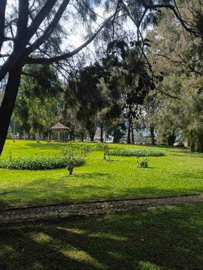 A sunny day illuminates a lush green park. Scattered trees frame the open space, with a gazebo resting in the mid-ground. Manicured flower beds are spaced across the grass. A stone-paved path winds through the scene. The light creates shadows that add depth to the grassy landscape. Some buildings are visible in the background behind the trees.