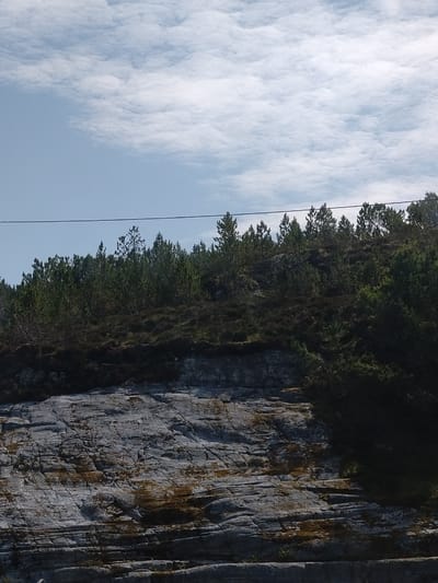 The image depicts a natural landscape under a partly cloudy sky. The foreground features a rough, textured rock face with horizontal striations, showing patches of yellow and brown discoloration. Above the rock face, a dense evergreen forest covers a sloping hillside. The trees are predominantly coniferous, with dark green foliage. A thin, dark horizontal line, likely a wire or cable, is visible in the upper portion of the image, stretching across the sky above the treeline. The sky itself is a pale blue, with scattered white, wispy clouds. There are no people or discernible man-made structures, other than the possible cable, visible in the scene. The location is identified as Averøy, Norway.