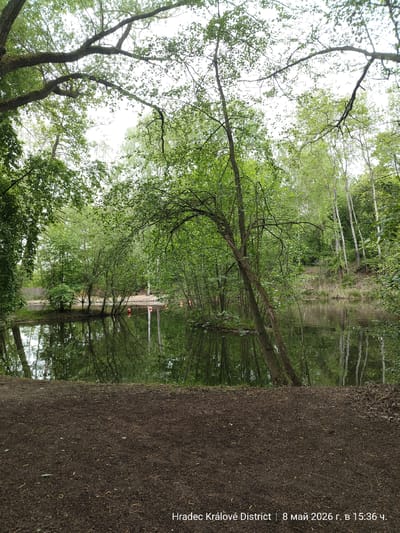 The photograph captures a pond surrounded by lush vegetation. Trees frame the scene, with some branches arching over the water. The pond's surface reflects the surrounding greenery, creating a mirror-like effect. In the distance, a sandy beach area is visible along the pond's edge. Several orange buoys float on the water. The foreground consists of a dirt patch. The image's metadata indicates it was taken in Hradec Králové District on May 8, 2026, at 15:36. While the exact location within Chlumec nad Cidlinou is not explicitly provided, the Hradec Králové District encompasses this city.