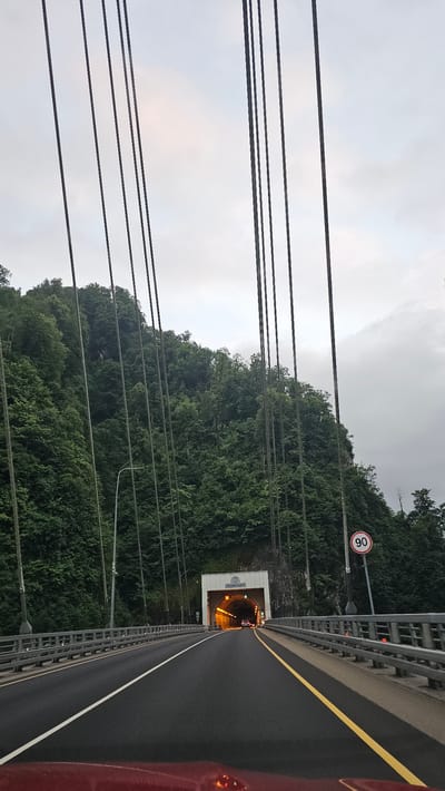 The image depicts a view from a car on a road approaching a tunnel. The road is asphalt with clear lane markings, including a yellow line and a white line. A metal guardrail runs alongside the road. The scene is dominated by a lush green forested hillside to the left, with many trees. Overhead, several thick cables stretch across the frame, likely part of a suspension bridge or power lines.
The tunnel entrance is visible in the distance, illuminated with a warm yellow light, and cars can be seen entering. Above the tunnel, there is a white structure with some text and a logo, but the text is difficult to read clearly. A circular speed limit sign with "90" is visible on a pole to the left of the road, indicating a speed limit of 90 kilometers per hour. The sky is overcast and cloudy, suggesting it is either early morning, late afternoon, or a generally gloomy day.
The image is oriented vertically, with the road and tunnel entrance appearing to lead upwards into the frame. There is no indication of people in the image, and the focus is on the road infrastructure and the natural landscape. The time of day is not clearly indicated, but the lighting suggests it is not bright daylight. The location is confirmed as Kepsha, Russia. The overall mood is neutral, focusing on the infrastructure and scenery.