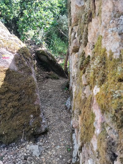 The image depicts a narrow, gravel-covered path between a moss-covered rock formation on the left and a stone wall covered with moss on the right. The path leads into a forested area with green foliage. A red paint mark is visible on the rock on the left. The image was taken in Alijó, Portugal.