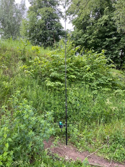 A fishing rod is propped upright in the grassy bank of a body of water. The rod is black with a green fishing reel attached near the base. It stands amidst lush green vegetation, including tall grasses and leafy bushes. In the background, a dense line of trees forms a natural backdrop against a cloudy sky. The ground beneath the vegetation is a mix of soil and dried leaves. The scene appears to be in a natural, undeveloped area.