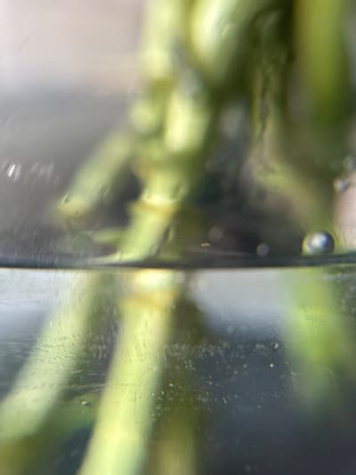 The image depicts a close-up, out-of-focus view of a glass container with a light green liquid and submerged plant stems. The surface of the liquid is visible, with small bubbles and debris. In the upper portion of the container, out-of-focus plant material is present. The lighting is diffuse. There are no people or discernible actions taking place. The image is of an unknown location within the city of Боголюбово, Russia.