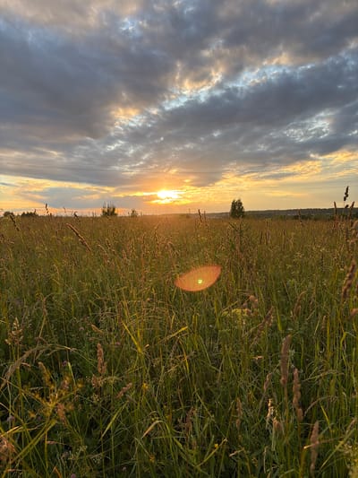 The image depicts a rural landscape in Martemyanovo, Russia, during sunset. The scene is dominated by a vast field of tall grass and wildflowers, extending towards the horizon. The sky is filled with dramatic clouds, illuminated by the warm, golden light of the setting sun. A sun flare is visible in the middle of the field. Power lines are present in the distance, hinting at human presence near the natural setting. The overall mood is peaceful and serene, capturing the beauty of nature at dusk. The image is oriented vertically.