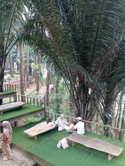 This image depicts an elevated, multi-tiered outdoor seating area within a natural, heavily vegetated environment, located in Kajar, Indonesia. The platforms of the seating area are covered with artificial green turf and feature rustic wooden benches and tables. A wooden railing extends along the perimeter of the elevated sections.

In the midground, on an upper platform, three individuals are seated on the green turf: an elderly woman wearing a patterned white top and a light-colored headscarf sits cross-legged, appearing to look downwards; next to her, a man in a white t-shirt and white baseball cap is seated, interacting with a young child positioned between them. A dark handbag is placed on the turf near the elderly woman, and a pink and white backpack rests on the turf closer to the foreground.

In the lower left foreground, on a paved surface, a woman in a light brown hijab and a striped long-sleeved top stands, partially facing away from the viewer. The surrounding environment is characterized by dense tropical foliage, with prominent large palm trees in the immediate foreground and midground, and a background comprised of tall, slender trees in what appears to be a forest or park setting. The scene is illuminated by natural daylight.