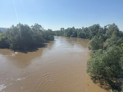 The image depicts a wide, brown river flowing through a lush, green landscape. The riverbanks are lined with dense vegetation, primarily trees. The water appears murky, suggesting sediment content. The sky is clear and blue. The scene is situated in Tsenovo, Bulgaria.