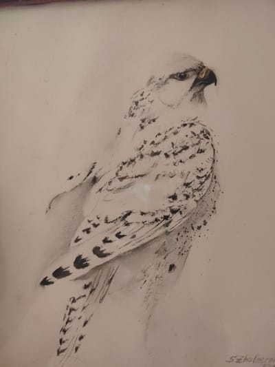 An undated, unframed ink wash painting on paper depicts a falcon in profile. The bird is rendered in shades of grey and black with touches of yellow on its beak. Its head is turned to the right, with a sharp, downward-curving beak and a dark eye. The body is speckled with black markings against a lighter background, suggesting feathers. The wings and tail are also depicted with loose, gestural brushstrokes. The background is a neutral, light grey, providing no environmental context. The artist's signature "S. Zholnerov" is visible in the bottom right corner, along with illegible text below it. The painting is of an unknown location in Бярэзінскі сельскі Савет, Belarus.