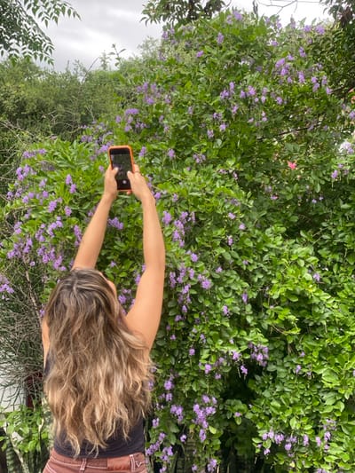 A person with long, wavy blonde hair stands in front of a large green bush covered in small purple flowers. They are holding a smartphone with an orange case, taking a photograph of the flowers. The person wears a black tank top and brown pants with white stitching. Additional foliage surrounds the bush, and the sky appears overcast.
