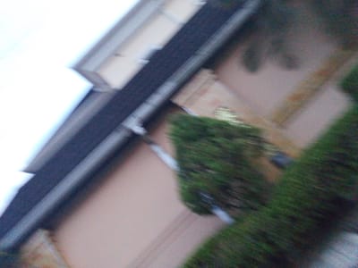 This is a blurry, tilted outdoor photograph of a building in Rumuomasi, Nigeria. The image primarily features architectural elements of a building, including what appears to be a dark, corrugated roofline or gutter system running diagonally across the frame. Below this, a lighter colored wall or facade is visible, with some indistinct textural details that might suggest brickwork or siding. To the right of the building, a dense green foliage, possibly a hedge or trees, occupies a significant portion of the frame, extending downwards and towards the right edge. The overall lighting suggests an overcast or twilight condition. The scene is devoid of any people or clear indications of activity.