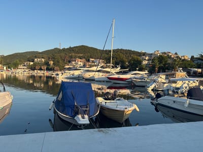 The image depicts a harbor scene in Nea Iraklitsa, Greece, under a clear blue sky. Numerous boats are docked in calm, reflective water. In the foreground, two smaller boats are positioned side-by-side; one is covered with a blue tarp, and the other is a small, white motorboat with an outboard motor. Behind these, a variety of other vessels, including sailboats and motorboats, are visible, some with their sails down and others with their covers on. The water's surface mirrors the boats and the background scenery. Beyond the harbor, a lush, green hillside is dotted with buildings and homes, suggesting a coastal town. Palm trees and other vegetation are interspersed with the structures on the hillside. The overall impression is one of a serene, well-maintained marina.
