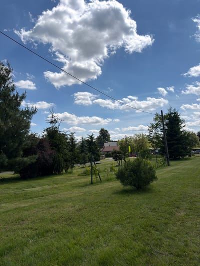 This is an outdoor, full-shot, eye-level photograph taken on a sunny day in Strzyżowice, Poland. The scene depicts a residential area with a well-maintained lawn in the foreground and a line of evergreen trees and shrubs behind it. In the background, there is a red-roofed house with a white exterior, and other residential buildings are visible. The sky is a bright blue with scattered white, fluffy clouds. Electrical wires are strung across the upper portion of the image, supported by utility poles. The overall impression is one of a peaceful, suburban landscape.
