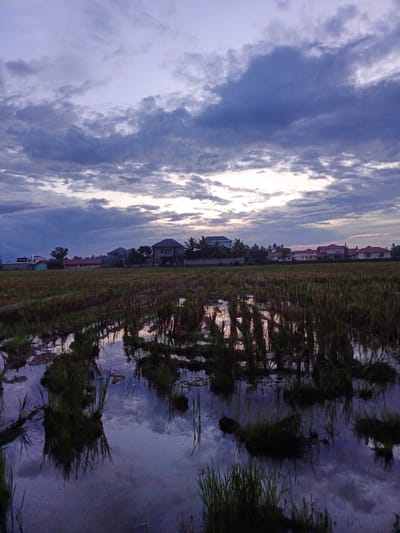 This image depicts a waterlogged rice paddy field at twilight in Namplohbaro, Indonesia. The immediate foreground and midground are occupied by standing water, reflecting the clouded sky, interspersed with dense clusters of rice stubble and emergent green shoots. Subtle ripples are visible on the water's surface. In the background, a line of diverse residential structures and houses with varied rooflines extends across the horizon, partially obscured by trees and other buildings, indicating a populated area adjacent to the agricultural land. The sky is filled with heavy, textured clouds, predominantly exhibiting shades of purple, grey, and blue, with a lighter, brighter segment visible near the horizon. No individuals or active elements are present in the scene.