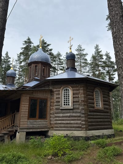 A log-built Orthodox church with a gray, segmented dome topped by a golden cross stands in a forest clearing. The church has a wooden porch with a staircase on the left and several arched windows with white panes. The building is surrounded by grass, bushes, and tall pine trees under a cloudy sky. The scene is located in the village of Nemyaki, Russia.