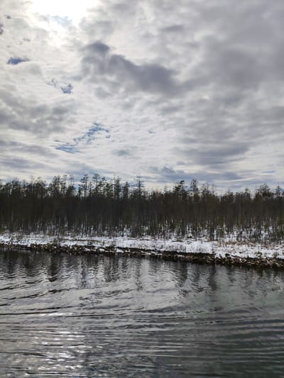 This outdoor shot captures a tranquil winter landscape in Kurdiug, Russia. The image features a wide body of dark water in the foreground, likely a river or canal, its surface covered in ripples that reflect the cloudy sky and show bright glints of sunlight. A narrow, snow-dusted shoreline runs along the water's edge, dotted with dark rocks and sparse vegetation. Behind this, a dense line of tall, slender trees, appearing mostly bare or with minimal foliage, stretches across the middle ground, their dark silhouettes contrasting with the muted tones of the sky. The sky is predominantly overcast with various shades of gray and white clouds, but patches of bright light indicate the sun breaking through, especially in the upper left quadrant. Small glimpses of blue sky are also visible through some cloud breaks. The scene appears still and peaceful, characteristic of a cold, winter day. No people, animals, or visible text are present.