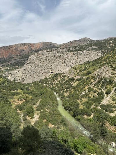 This media file captures a dramatic, rugged landscape featuring a deep gorge in Ardales, Spain. The scene is dominated by towering, steep rocky cliffs on both sides of a valley, with a river flowing through the bottom.

The river, visible in the lower section, meanders through the gorge, displaying varying shades of greenish-blue water, with turbulent, white sections where it flows over rocks. Its banks are densely forested with lush green trees and bushes, creating a rich canopy.

The imposing cliff faces are composed of grey and brown rock, exhibiting intricate geological layers, textures, and vertical fissures. Patches of sparse vegetation, including shrubs and grasses, cling to the rocky surfaces. A notable man-made structure, likely part of the Caminito del Rey, is a narrow walkway or path clinging to the side of one of the sheer rock walls. Further up on this cliff face, a dark, small opening suggests a tunnel entrance.

The sky overhead is overcast with soft, diffuse clouds, indicating a cloudy or partly cloudy daytime setting without direct sunlight. The overall impression is one of vast natural grandeur and scale. No visible text is present in the image.