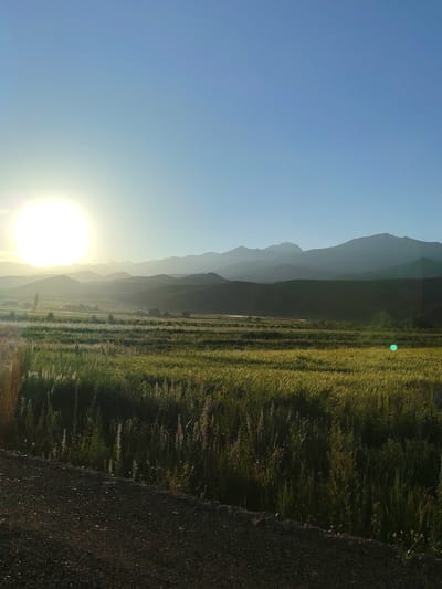 This media file captures a serene landscape scene, likely at sunrise or sunset, given the low angle of the sun and the soft, warm light illuminating the horizon. The foreground is dominated by a dirt road or path, transitioning into a field of tall, green grass with hints of brown, suggesting it may be a meadow or agricultural land. The grass is densely packed and appears to be catching the sunlight, creating a golden glow.
In the middle ground, the landscape unfolds into rolling hills covered in shadow, with scattered trees visible in the distance. Beyond these hills, a majestic mountain range forms the backdrop. The mountains are layered, with the closest peaks appearing as dark silhouettes against the brighter sky, while the furthest ranges fade into a soft, hazy blue.
The sky is a clear, gradient blue, lighter near the horizon and deepening towards the top of the frame. A prominent, bright orb, which is the sun, is positioned on the left side of the image, casting a strong glare and bathing the scene in a warm, ethereal light. A subtle, circular lens flare in a light blue hue is visible in the middle right portion of the image.
The overall mood is peaceful and tranquil, evoking a sense of natural beauty and solitude. The time of day is clearly indicated by the sun's position and the quality of light. While there are no people or man-made objects prominently displayed, the presence of the field suggests human interaction with the land. The location context provided, Temir, Kyrgyzstan, implies a rural or mountainous setting, consistent with the visual elements in the image. There is no visible text in the media file.