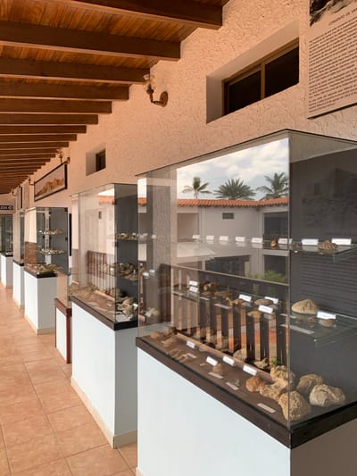 The image depicts the interior of a museum exhibit hall in Boca del Río, Venezuela. The hall features a series of glass display cases containing various artifacts, likely archaeological or geological specimens, arranged on shelves. The display cases are positioned along a tiled walkway. In the background, a courtyard with palm trees and a building with red-tiled roofs is visible through the glass, suggesting an open-air architectural style for the museum. The walls of the hall have a textured finish, and the ceiling is adorned with exposed wooden beams. A framed picture hangs on the wall above the display cases. The lighting appears to be natural, supplemented by interior fixtures. There are no people visible in the frame.