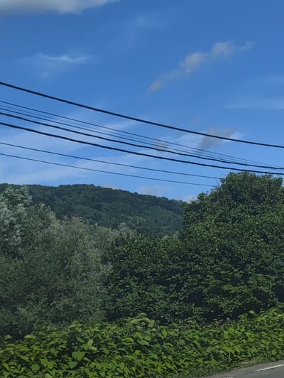 The image shows a landscape scene with a clear blue sky and some clouds. Several dark power lines stretch across the upper portion of the frame. Below the power lines, a densely forested hill rises in the background. In the foreground, there are various types of green foliage, including trees and bushes. There are no people or visible structures, with the exception of what appears to be a small building or house partially visible on the side of the hill. The location is identified as Petrova, Romania.
