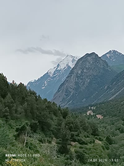 The image captures a mountainous landscape in Chunkurchak, Kyrgyzstan, under a cloudy sky. In the foreground, a dense forest of dark green trees covers a steep slope. Bare, light-colored branches of dead trees are visible amidst the foliage. Further in the background, the rugged terrain reveals distinct mountain peaks. Some of these peaks are capped with snow, contrasting with the darker, rocky slopes. The mid-ground shows a valley dotted with scattered buildings, appearing as small, reddish-brown structures. The scene is devoid of human presence. The image also contains embedded metadata: "REDMI NOTE 11 PRO MI FOREVER" and a date and time stamp of "24.06.2026 15:01".