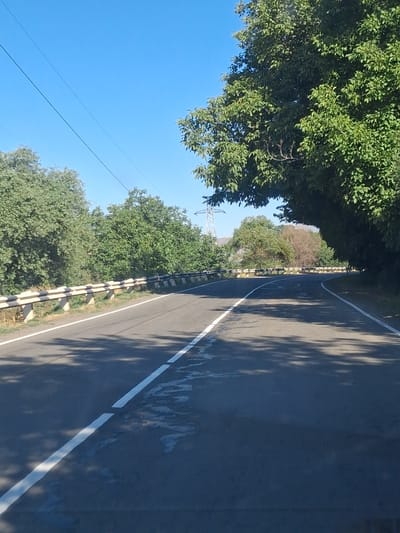 The image depicts a sunny day on a paved road in Malishka, Armenia. The road curves gently to the right, with a white dashed line marking its center and a solid white line along the right edge. A yellow and white striped guardrail runs along the left side of the road, bordering a dry, grassy embankment. Dense green trees line the left side of the road, and on the right, a large tree with lush green foliage overhangs the road. In the distance, a power line pylon is visible against a clear blue sky. The road surface shows some discoloration, possibly from water or oil stains, and is dappled with shadows cast by the trees. There are no people or vehicles visible in the frame. The overall impression is of a rural or semi-rural road on a clear day.