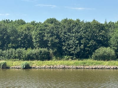 The media file shows a scenic view of a body of water with a dense green forest bordering its edge. The water appears calm with subtle ripples, reflecting the clear blue sky above. The sky is dotted with a few wispy white clouds, suggesting fair weather.

Along the water's edge, there is a band of lush green grass interspersed with reeds. A rocky embankment separates the grassy area from the water, providing a textured transition. Behind the grass and rocks, a thick, verdant forest stretches across the landscape, its dense foliage creating a solid green wall. The trees are varied, with some appearing taller and more conical, while others form a more rounded, bushy canopy.

The scene is likely captured during the daytime, given the brightness of the sky and the clear visibility of the landscape. The overall impression is one of tranquility and natural beauty. There is no text visible in the media file. The setting is Kudensee, Germany.