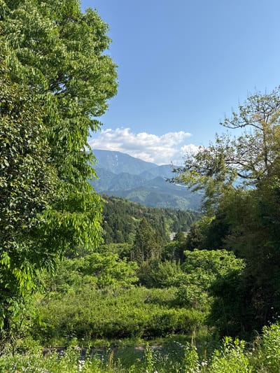 The image is a slightly angled, daylight landscape view from a high vantage point in Nakatsugawa, Japan. The foreground consists of lush, green foliage of various trees and shrubs, creating a dense, natural border. Through a gap in the trees, a distant mountain range is visible under a bright blue sky with scattered white clouds. The mountain has visible ridges and valleys, suggesting a natural, undeveloped area. The overall environment evokes a sense of natural beauty and a remote location within the city.