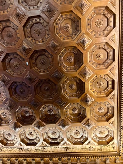 The image shows an intricately carved wooden ceiling. It features a repeating pattern of octagonal panels, each adorned with a floral emblem in the center and a ring of decorative circles. The octagons are separated by smaller, square panels with similar floral carvings. The wood has a rich, golden-brown hue, with shadows emphasizing the depth and detail of the carvings. The right edge displays more ornate, linear designs.