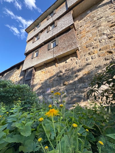 The image shows the exterior of the Esslingen Castle, specifically its imposing stone walls and wooden upper levels, viewed from a low angle looking upwards. In the foreground, lush green foliage and yellow wildflowers create a vibrant contrast against the weathered stone and timber structure. The sky above is a clear, bright blue with a few wispy white clouds. The architecture of the castle, with its multiple stories of shingled roofs and wooden shutters, suggests historical significance and an agrarian or defensive purpose. The sunlight casts strong shadows on the stone wall, highlighting the texture and irregular shapes of the stones. A small plaque is visible on the stone wall, but its text is illegible. The overall scene evokes a sense of enduring history and natural beauty.