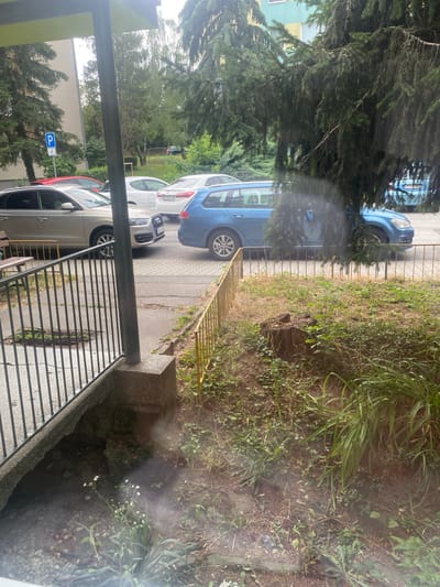 The image is an outdoor, ground-level view of a residential area in the city of Košice, Slovakia. In the foreground, there is a concrete structure with a metal railing, suggesting it is part of a building's entrance or a walkway. Below the railing, there is a patch of disturbed ground with some small white flowers growing. Adjacent to the concrete structure, a yellow metal fence encloses an area with dry grass, a tree stump, and more vegetation.
Behind the fence, several cars are parked on a paved surface. From left to right, there is a silver Audi Q3, followed by a white car, and then a blue station wagon. A red car is visible further back. The parking area is bordered by a sidewalk. In the background, tall evergreen trees and deciduous trees are prominent, with a section of a multi-story building visible above the trees on the left. A blue parking sign with a white 'P' is mounted on a pole behind the silver Audi. The overall impression is a typical urban residential street scene, likely a parking area adjacent to an apartment building, common in Košice. The lighting suggests it is daytime, possibly overcast.