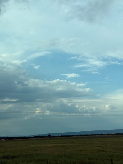 The image depicts a rural landscape under a partly cloudy sky. The foreground is dominated by a grassy field with scattered vegetation. In the middle ground, there is a flat expanse of land, possibly agricultural fields, bordered by a line of trees and low hills in the distance. A thin, dark line of power lines stretches horizontally across the image in the middle ground. The sky is a mix of light blue and various shades of gray clouds, with some brighter patches suggesting sunlight. The scene is devoid of any visible people or animals. The overall impression is one of a serene, natural environment. The location is identified as Palauzovo, Bulgaria, suggesting a rural setting within that region.