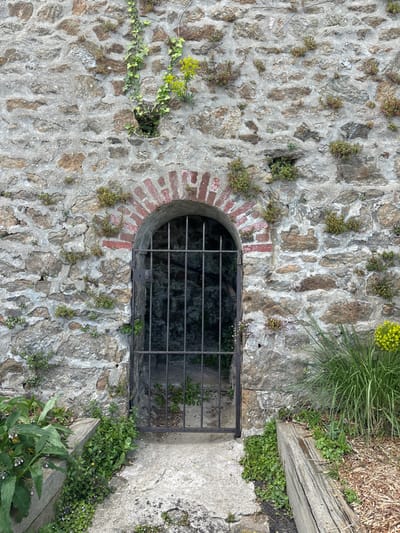 The image shows a stone archway with a metal gate in the wall of a building in Dinard, France. The wall is made of rough, grey stones and the archway is framed in red brick. The gate is made of vertical metal bars and is closed. The ground in front of the gate is made of concrete and is covered with plants. There are two wooden planks, partially obscured by plants, on the ground to the right of the gate. The environment appears to be a park or garden.  The coordinates provided (48.635, -2.049) indicate the location of the image is near the coast in the town of Dinard.  The image is well lit with natural light. The image appears to have been captured during the day.  There are no people in the image.