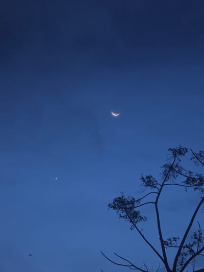 The image depicts a dark blue evening sky in Pintomakmur, Indonesia. A crescent moon is visible in the upper left quadrant. A single, bright star is located below and to the right of the moon. A tree branch with leaves is silhouetted against the sky in the upper right quadrant. The overall lighting suggests a twilight or nighttime scene.