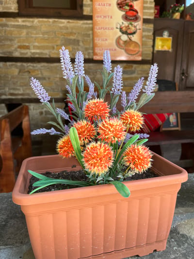 A close-up, eye-level shot captures an orange plastic planter box filled with soil and artificial flowers. The planter is positioned outdoors, resting on a textured concrete surface. The artificial floral arrangement consists of bright orange, spiky, spherical blooms interspersed with slender, light purple lavender-like stalks and green leaves. In the background, a rustic stone wall with dark wooden beams forms the facade of a building. To the right of the stone wall, there is a wooden door and a framed poster displaying images of food. Further in the background, a dark wooden bench is visible, adorned with a red and white striped textile. The setting is identifiable as Zheravna, Bulgaria, a historical village known for its preserved architecture. There are no people or animals present in the frame.