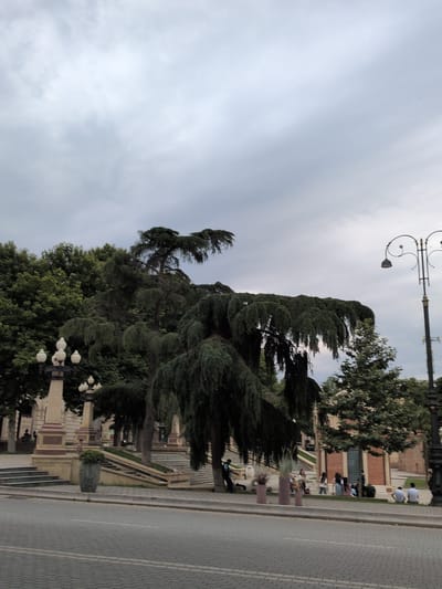 This is a vertical, low-angle shot of a park-like area with a street running alongside. In the foreground, large, dense evergreen trees with drooping branches dominate the left side of the image. A few ornate streetlights with multiple bulbs are visible among the trees. Further back, a paved area with planters and steps leads to buildings constructed with reddish-brown brick and decorative stone elements.

Several people are scattered throughout the scene. Some are seated on the ground near the buildings, while others appear to be walking or standing. A group of individuals in white shirts and blue pants are kneeling or sitting on the ground in the middle ground, facing away from the camera. Another group of people in casual attire are further back, near the buildings.

The sky is overcast, suggesting a cloudy or possibly humid day. The lighting is soft, indicating it is likely daytime, perhaps late morning or afternoon. The paved area alongside the street features a distinct textured pattern, and the street itself is also paved with a similar pattern. The presence of lush greenery, classic streetlights, and architectural elements suggests an urban park or a landscaped public space in Ganja, Azerbaijan. No visible text is present in the image. The overall atmosphere is calm and leisurely, with people enjoying the outdoor space.
