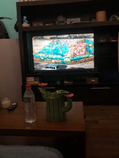 The image depicts a living room interior. In the foreground, there's a wooden table with a cactus-shaped decorative object with a flower, a water bottle, a remote control, and a candle. Behind the table is a dark-colored entertainment center with a television displaying what appears to be a car on a street with trees; the TV indicates a time of 22:26. Various decorative items are visible on the shelves of the entertainment center. In the background, there is a hint of wall and flooring. The image was taken indoors. Beccar, Argentina is not identifiable in the provided image.