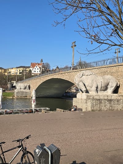 This image depicts the Giebichenstein Bridge over the Saale River in Halle (Saale), Germany, under a clear blue sky. The multi-arch stone bridge, constructed from light-colored masonry, spans the river, featuring a dark metal railing and two prominent multi-lamp streetlights. Large, stylized stone statues of oxen are positioned on the bridge supports; one is clearly visible on the right bank, facing left, while a second is partially visible on the far left bank. Graffiti is present on the lower portion of the right bridge support, just above the water level.

The Saale River, displaying dark green water, flows beneath the bridge. Several small boats or rafts are docked along the left bank, some equipped with tables and chairs.

In the immediate foreground, a dark asphalt path is present. A black bicycle is partially visible on the lower left, parked within a two-slot metal bicycle rack. Strong sunlight illuminates the scene, casting shadows, including that of a bare-branched deciduous tree extending into the upper right foreground.

On the right bank, near the bridge's base and above the water, two individuals are seated on a stone ledge, facing each other, engaged in interaction. One individual wears a light-colored top, the other a darker top.

The distant background, on the far side of the river, features a hillside with numerous residential buildings, including a distinctive white building with an orange-tiled roof and multiple gables. A slender church spire is visible on the distant horizon, positioned behind the bridge.