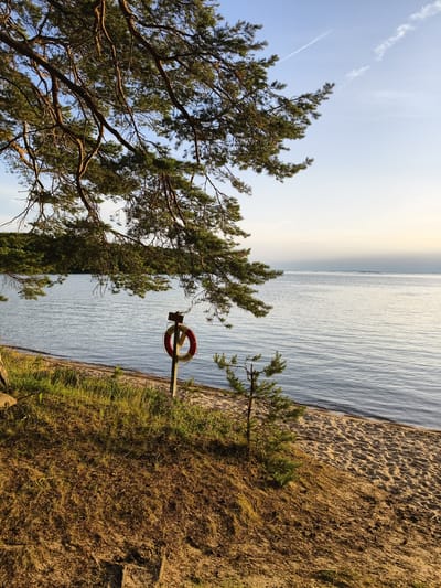 This is a vertical, outdoor, natural photograph taken at Motala, Sweden. The scene depicts a tranquil lakeside setting with a sandy beach in the foreground, transitioning to gentle waves lapping at the shore. A stand of tall green pine trees frames the left side of the image, with their branches and needles casting dappled shadows. The water itself is a calm, reflective blue, with a hint of haziness towards the horizon where the sky meets the water. The sky is a soft, pale blue with a few wispy white clouds and a contrail from an airplane, suggesting it is late afternoon or early evening.
On the sandy shore, near the waterline, stands a wooden post with a life preserver ring attached. The life preserver is orange and white with some visible text. The sandy beach has a few small pine saplings growing on it, and the area just above the beach is covered in dry, golden grass and pine needles.
The overall mood of the image is peaceful and serene, evoking a sense of quiet contemplation and the beauty of nature. The lighting suggests a warm, golden hour glow.