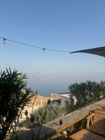 The image captures an outdoor panoramic view from the Megilot Yam HaMelakh Regional Council, Palestinian Territory, overlooking a large body of water and distant land. The upper portion displays a clear, light blue sky traversed by a string of warm-toned, exposed-filament light bulbs. A dark grey shade canopy extends into the frame from the upper right. The mid-ground features a vast expanse of calm, light blue-grey water, consistent with the Dead Sea, with hazy, pale brown mountain ranges visible on the far horizon. Below the water line, the immediate land consists of dry, rocky brown terrain sloping downwards. A white, single-story building with a flat roof and multiple windows is situated on a lower terrace on the right side, facing the water. The foreground is dominated by various types of vegetation: dense dark green shrubs on the left and right edges, and lighter green, bush-like plants with several slender stalks bearing clusters of dark purple flower heads in the center. A weathered wooden railing or bench extends across the lower right, with a portion of a wooden chair visible beside it. Strong sunlight casts defined shadows across the foreground elements. No individuals are present in the scene.