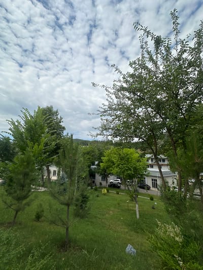 The image depicts an exterior view of the Convention Center in Khumsan, Uzbekistan, on a cloudy day. Lush green grass covers the foreground and slopes gently towards a paved area where several cars are parked. Two pine trees are prominent in the mid-ground, flanking a small grassy mound. Behind them, a building with a light-colored facade and dark windows is visible. Part of the building's signage reads "CONVENTION CENTER". Numerous trees with dense green foliage are scattered throughout the scene, with a larger, mature tree dominating the right side of the frame. The sky is filled with a pattern of white and grey clouds.