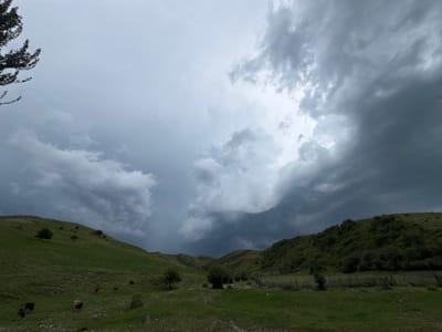 This is a medium-range outdoor shot of a landscape in Kashka-Suu, Kyrgyzstan. The scene is dominated by a dramatic sky filled with dark, heavy storm clouds. The clouds are a mix of dark grays and lighter grays, with some patches of brighter sky visible through them. A tree branch is visible in the upper left corner of the frame, silhouetted against the sky.

The foreground and midground consist of rolling green hills covered in grass. Scattered trees and bushes dot the landscape. In the lower left portion of the image, there are at least three animals, appearing to be livestock such as cows or sheep, grazing on the grassy slope. A rustic wooden fence runs horizontally across the midground of the image on the right side, separating two sections of the hilly terrain. The overall atmosphere of the image is moody and somewhat foreboding due to the intense storm clouds.